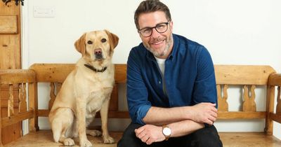 Top do's and don'ts from animal experts on how to look after an elderly dog