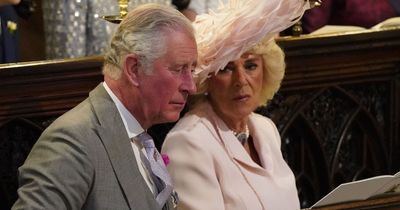 Prince Harry's distant stepbrother makes sly 'jab' over his brutal Queen Camilla insults