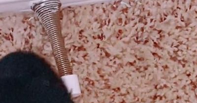 Your door stopper has an 'extra use' many don't know about - but it's dividng opinion