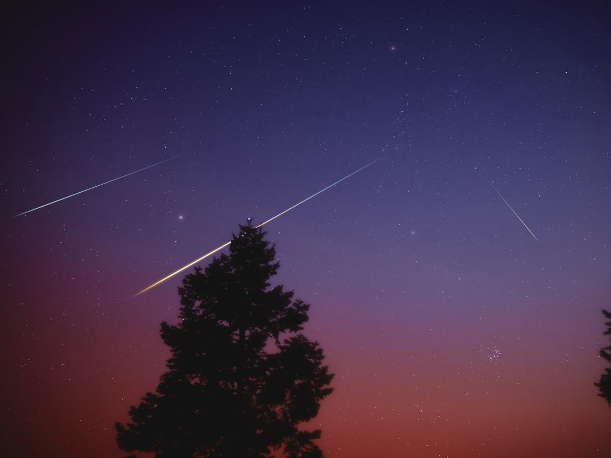 Where to watch the Lyrid meteor shower in the UK this…