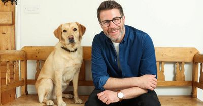 Pet owners should teach old dogs new tricks to keep them mentally stimulated, experts say