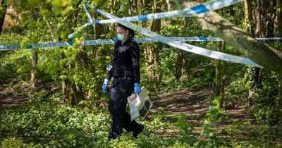 Suspected gun found after men spotted throwing items into woodland