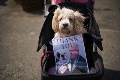 In pictures: Dogs join mourners at Paul O’Grady’s funeral