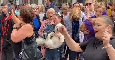 Paul O'Grady fans gather in Birkenhead for heartfelt rendition of Who Let The Dogs Out