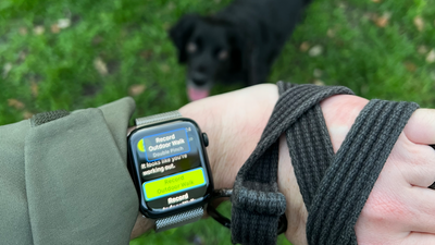 How the Apple Watch changed my dog walks forever