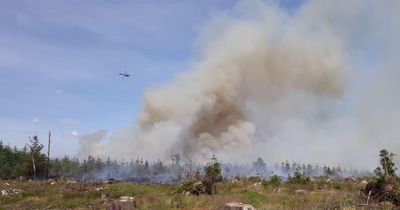 Ireland weather: Conditions spark Status Orange fire warning as advice issued