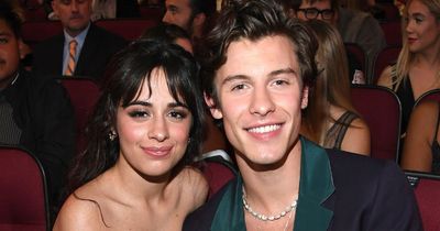 Shawn Mendes and Camila Cabello 'back together' as they're seen holding hands