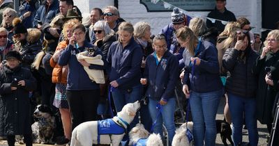 Rescue dogs form guard of honour for Paul O'Grady's funeral procession