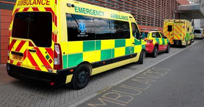 'Responsibility for ambulance crisis is with a Government that has failed to invest in NHS'