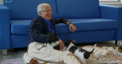 ITV's For the Love of Dogs viewers all feel the same as episode airs as Paul O'Grady is laid to rest