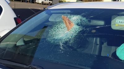 Tasmanian driver has lucky escape after wood flies from log truck into windscreen