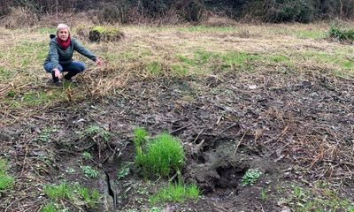 Sewage-soaked field stops creation of new woodland in Greater Manchester