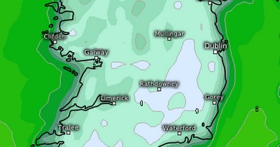 Dublin weather: Met Eireann forecasts return of cold blast with warning for hayfever sufferers