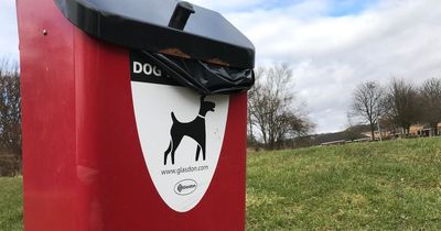 Dog owners in Wales could be fined for not having poo bags