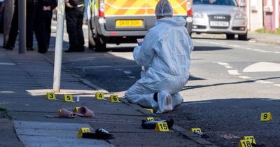 Two dogs remain in police custody after 'horrific' Walton attack