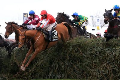 Scottish Grand National organisers 'not expecting' animal rights protests