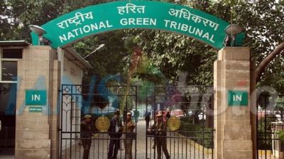 UP: NGT forms committee; seeks report over disappearance of 1095 ponds in Kanpur Dehat