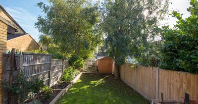 Man returns to his house to find 'entitled' neighbour building in back garden