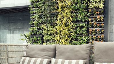 5 easy ways to grow a vertical garden and save space