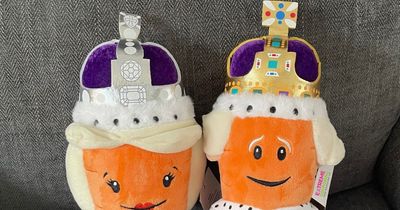 Aldi fans rush to stores as Coronation Kevin the Carrot toys land on shelves