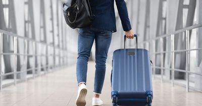 The best cabin bags to buy for 2023
