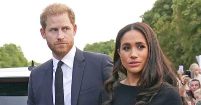 Meghan Markle's Coronation snub will 'help Prince Harry mend Charles and Wills feud'