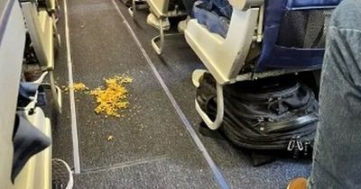 Flight attendant grounds plane until passenger cleans up their filth in the aisle