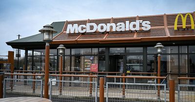 Drink driver smashes into traffic cones and pulls into McDonald's drive-thru for food