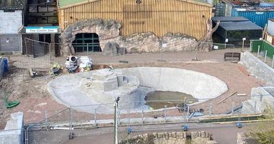 West Lothian Five Sisters Zoo begins work on new penguin enclosure