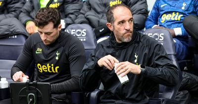 Cristian Stellini lifts the lid on Tottenham's injury problems ahead of Newcastle trip
