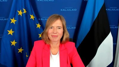 'We have to re-adapt quickly to a long-term threat': Ex-Estonian president Kaljulaid