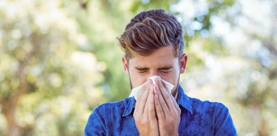 Hay fever could be linked to our gut and nose bacteria – and probiotics may help symptoms