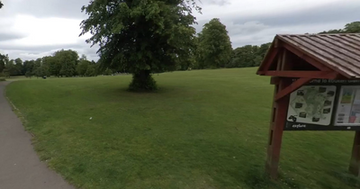 'Number of firearms' found in Glasgow park as police launch probe into discovery