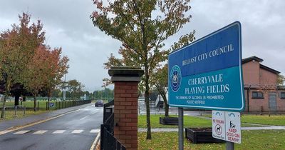 Cherryvale Playing Fields in East Belfast to receive facelift despite local objections