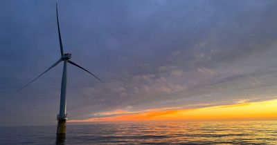 Industry leaders in Cornwall call for Celtic Sea windfarms to land in the county