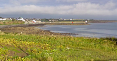 Body found on Balbriggan beach prompts major Garda probe as public urged not to share images