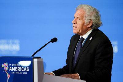 Probe of OAS chief draws members' push for ethics reforms
