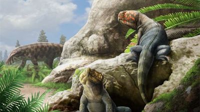 230 million-year-old bizarre-beaked reptile was a relative of modern-day crocodiles