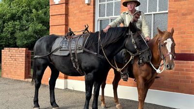 From unwanted station horse to Anzac Day educator — the story of Mick Batchelor's Deets