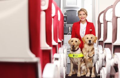 Virgin Atlantic crew to work with Guide Dogs to help passengers with visual impairment