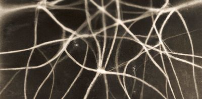 Networks of silver nanowires seem to learn and remember, much like our brains