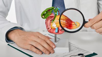 Pancreatitis: Causes, symptoms and treatments