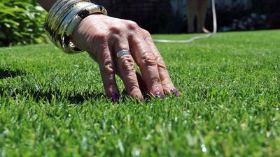 Why Kirsten is encouraging you to reduce the size of your lawn and to mow it less often