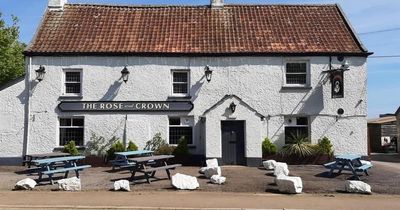 Centuries-old village pub near Bristol has resident alpacas