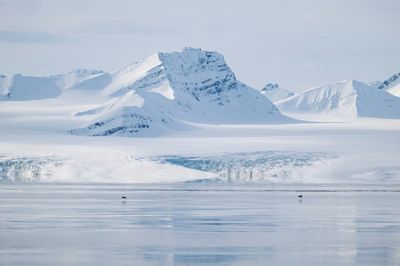 Scientists save ancient Arctic ice in race to preserve climate history