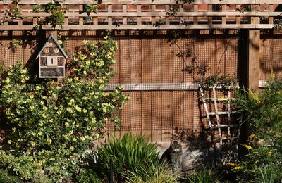 A fence topper will give you extra privacy in your backyard – these on-trend options pair style with seclusion