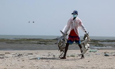 Avian flu outbreak in the Gambia threatens birds on East Atlantic Flyway