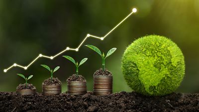 Four Sustainable Investments That Could Have a Positive Impact