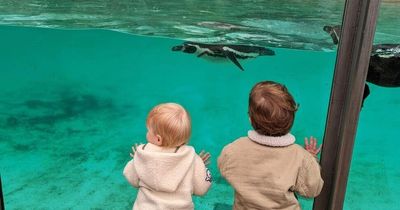 Princess Eugenie reveals first glimpse of niece Sienna Mapelli Mozzi during zoo trip