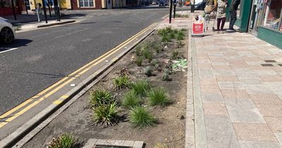 What are the ‘rain gardens’ built into new Cardiff streets?